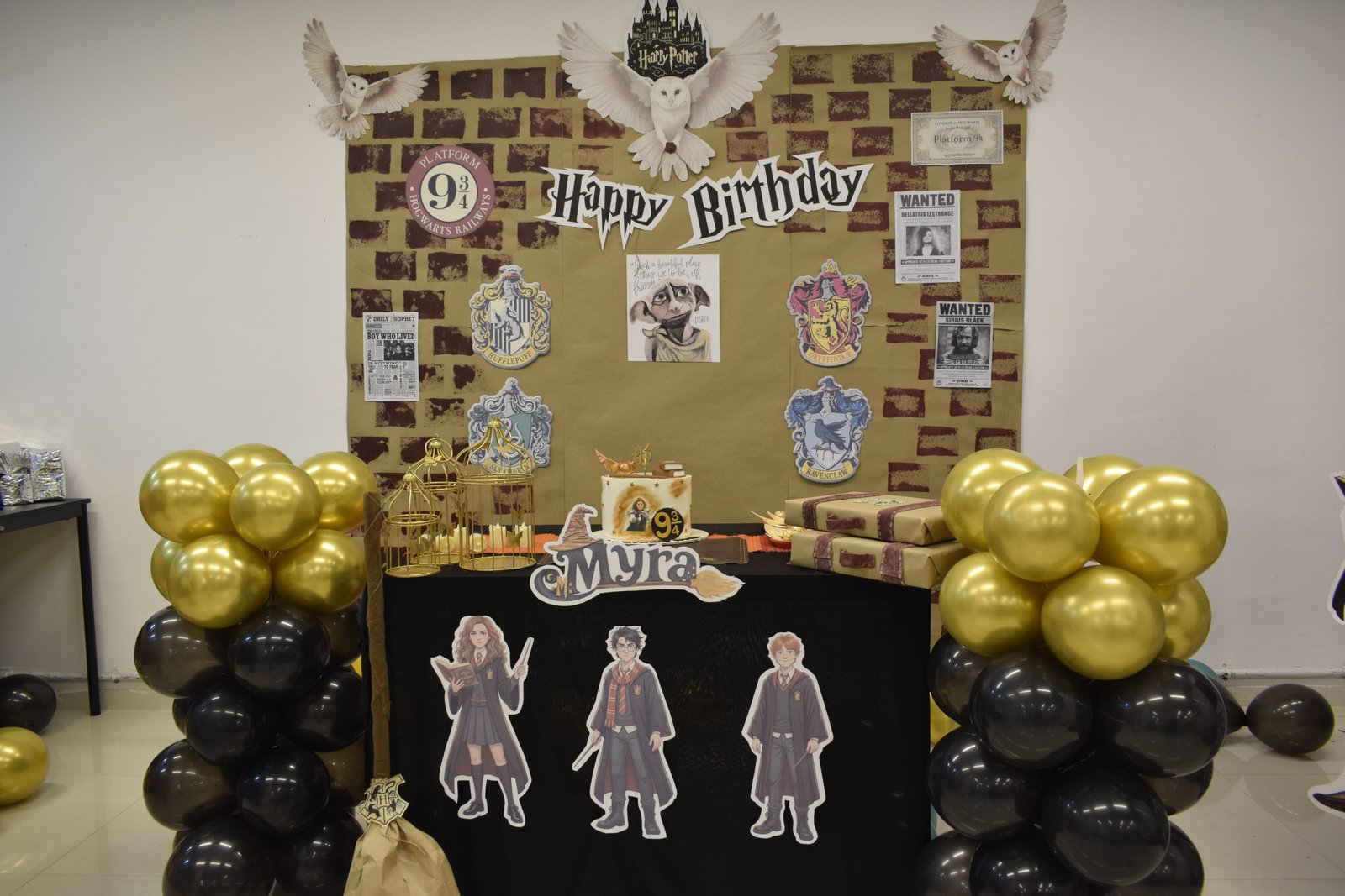 Themed Birthday Party